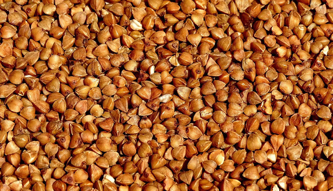 buckwheat allergy